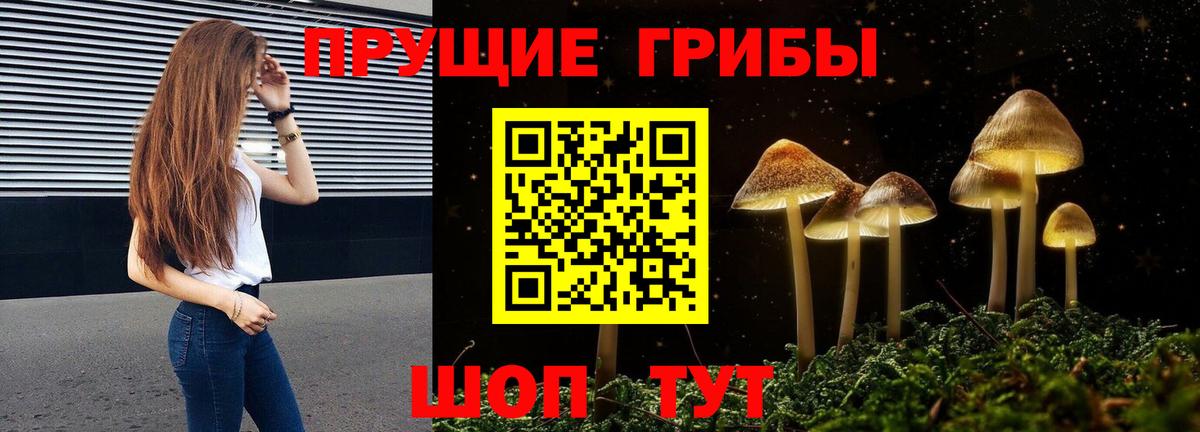 Псилоцибиновые грибы GOLDEN TEACHER  Вход с VPN  Костомукша 