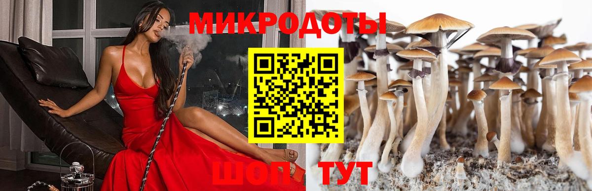 Галлюциногенные грибы прущие грибы Костомукша